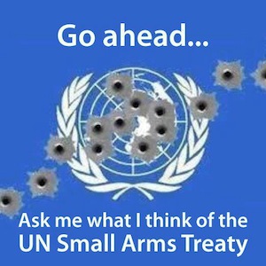 un-small-arms-treaty1 (1)