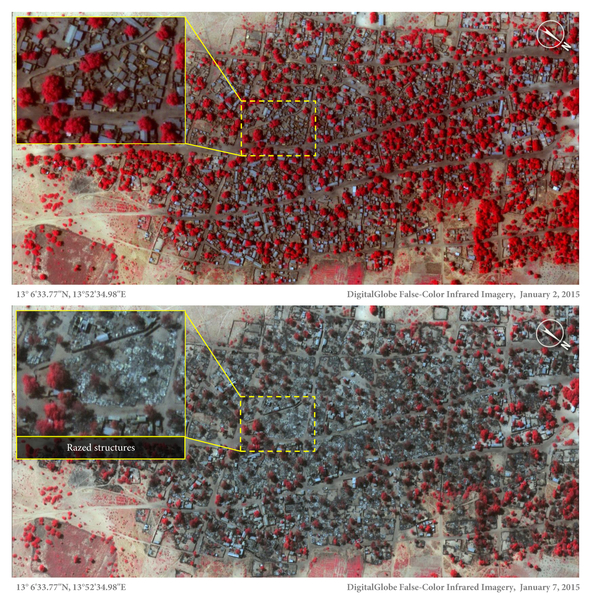 Satellite image of the village of Doro Gowon in north-eastern Nigeria taken on 2 Jan 2015. Satellite image of dense housing in Doro Gowon taken on 7 Jan 2015, following an attack by Boko Haram. Shows an example of the densely packed structures and tree cover in Doro Gowon before the village was razed by Boko Haram.