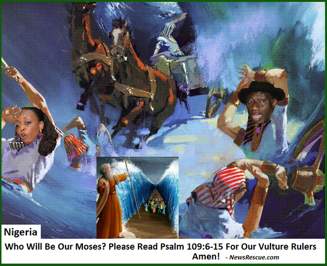 Federal Government Hindering Completion Of Lagos Light Rail Project Says Fashola – NewsRescue.com