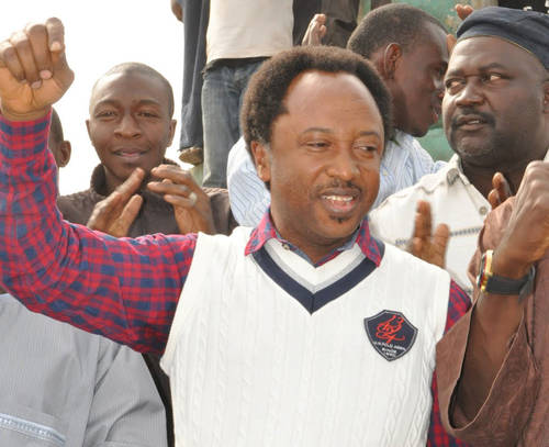 Boko Haram Connected Shehu Sani Defeats Kaduna Senator Tow Win APC Senatorial Primary