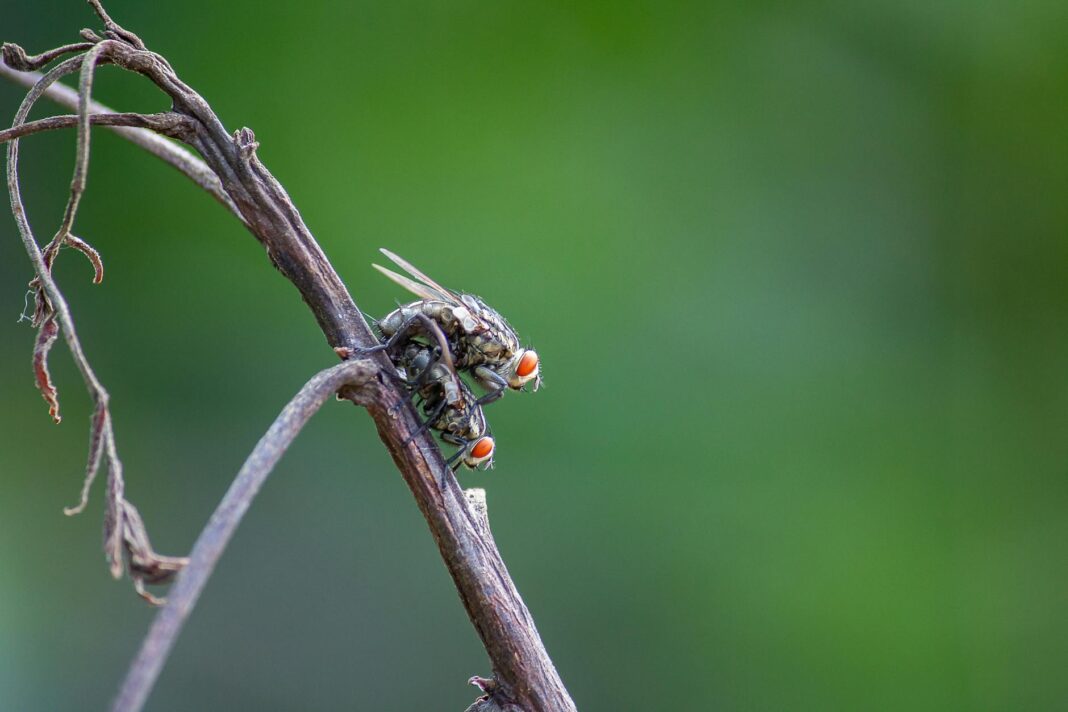 CNN Global Exec. Flies To Nairobi To Personally Apologize To Kenya For ‘Terror Hotbed’ Slur – NewsRescue.com