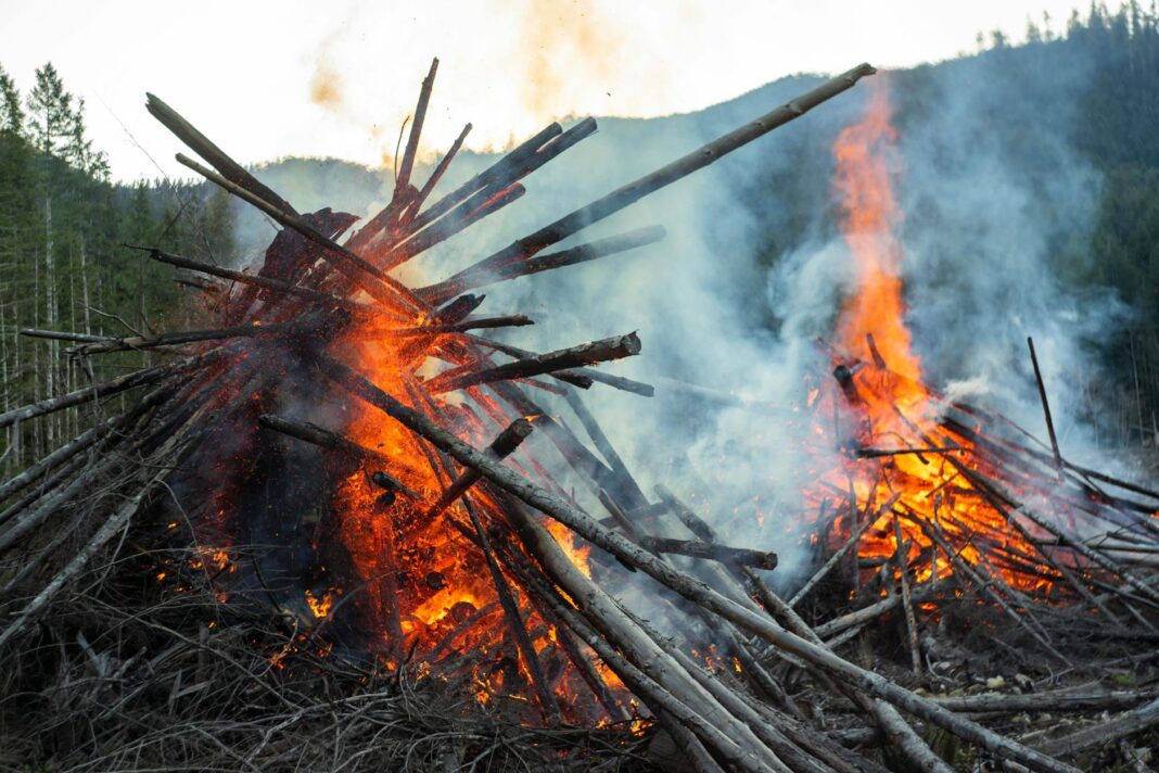 CNN: Jonathan Cessation of Fire Probably Election Ploy, Setup To Allow Boko Haram Regroup