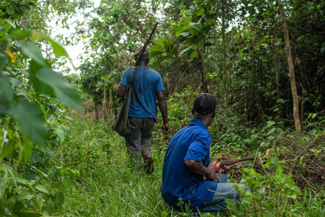 Dear Buhari, We Youth, Hunters, CJTF, Ex-Servicemen Are Ready For The Jihad Against Boko Haram – NewsRescue.com