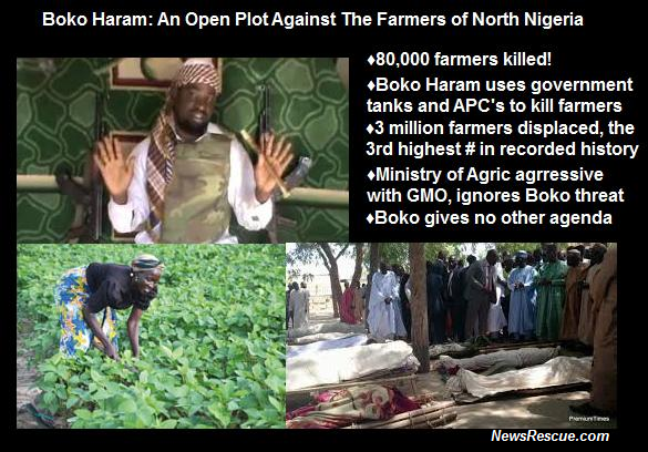 FEAR: Boko Haram Blows More Bridges In Borno, Yobe, Securing Their Territory