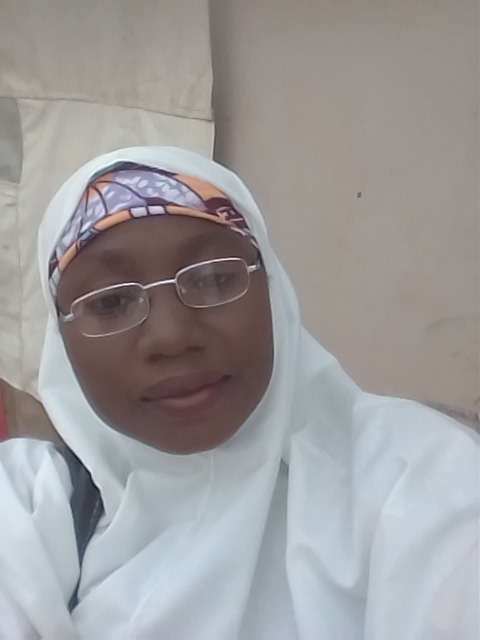 Human Rights Organization Condemns Mob Action Against Female Journalist In Zaria