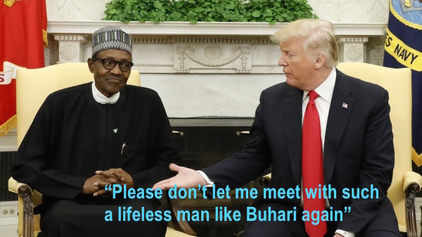 Nigerians To Pay Millions More For US Visas As Trump Slams Reciprocal Levy In Response To Buhari Price Hike