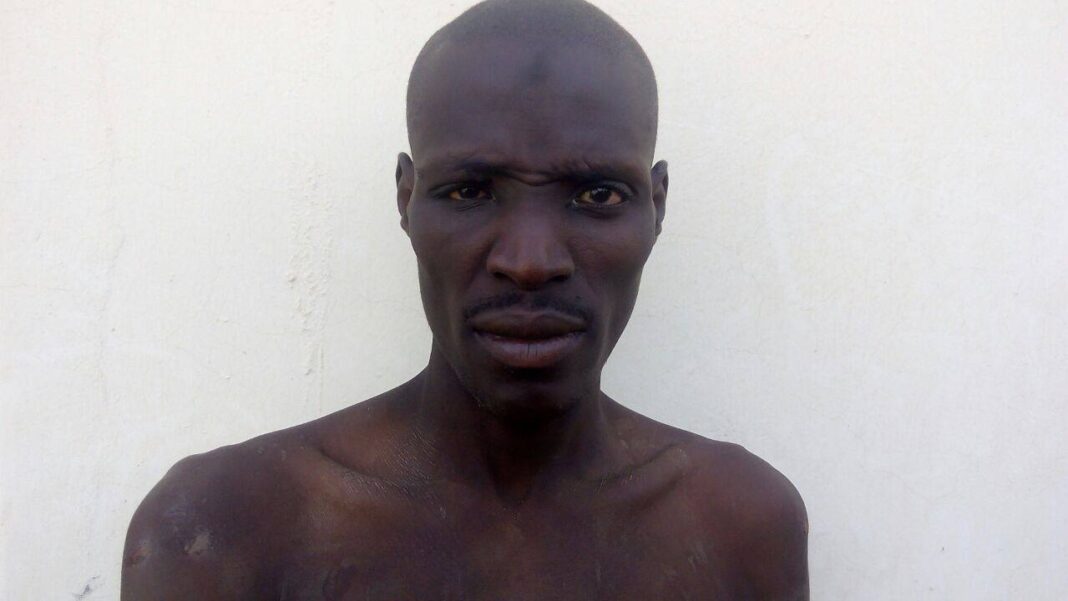 Nigeria: Shock As DailyTrust-Army Reveal Boko Haram Still Controls 3 Local Governments